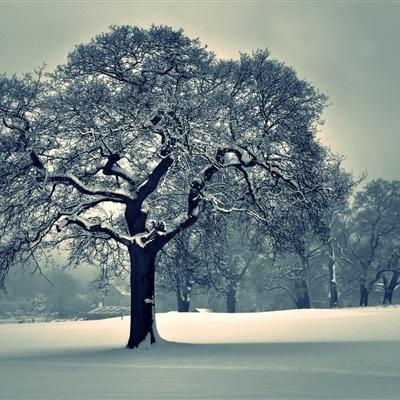 一分三快app手机app下载截图